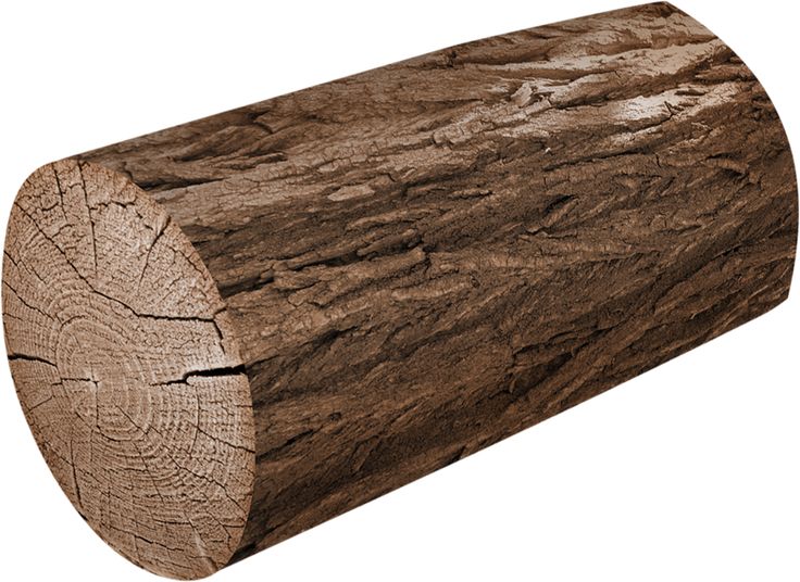 Log with the texture. Logs clipart cute
