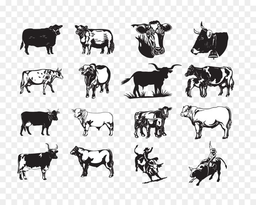 longhorn clipart beef cow