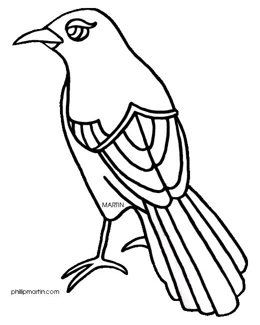 longhorn clipart coloring page