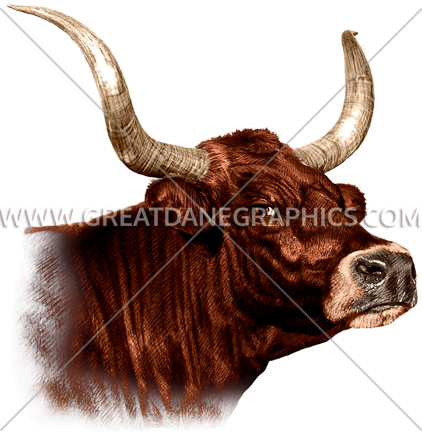 longhorn clipart mascot