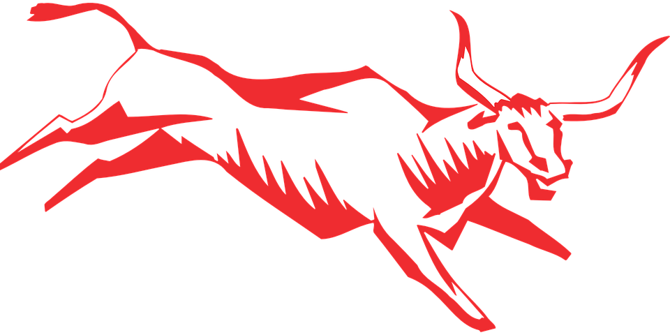 longhorn clipart vector