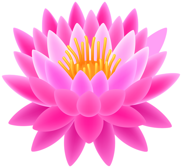 clipart flower pink lotus