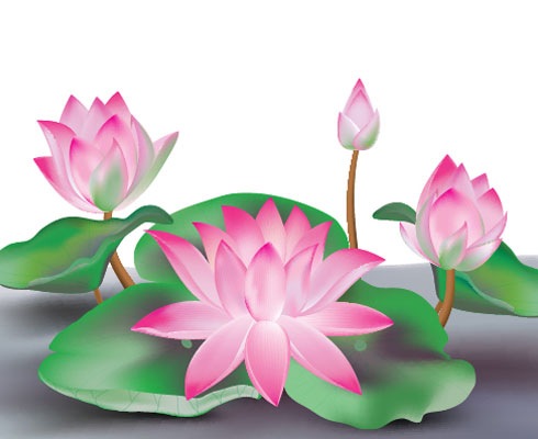 lotus clipart animated