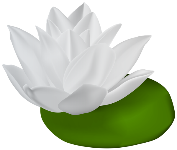 lotus clipart aquatic plant