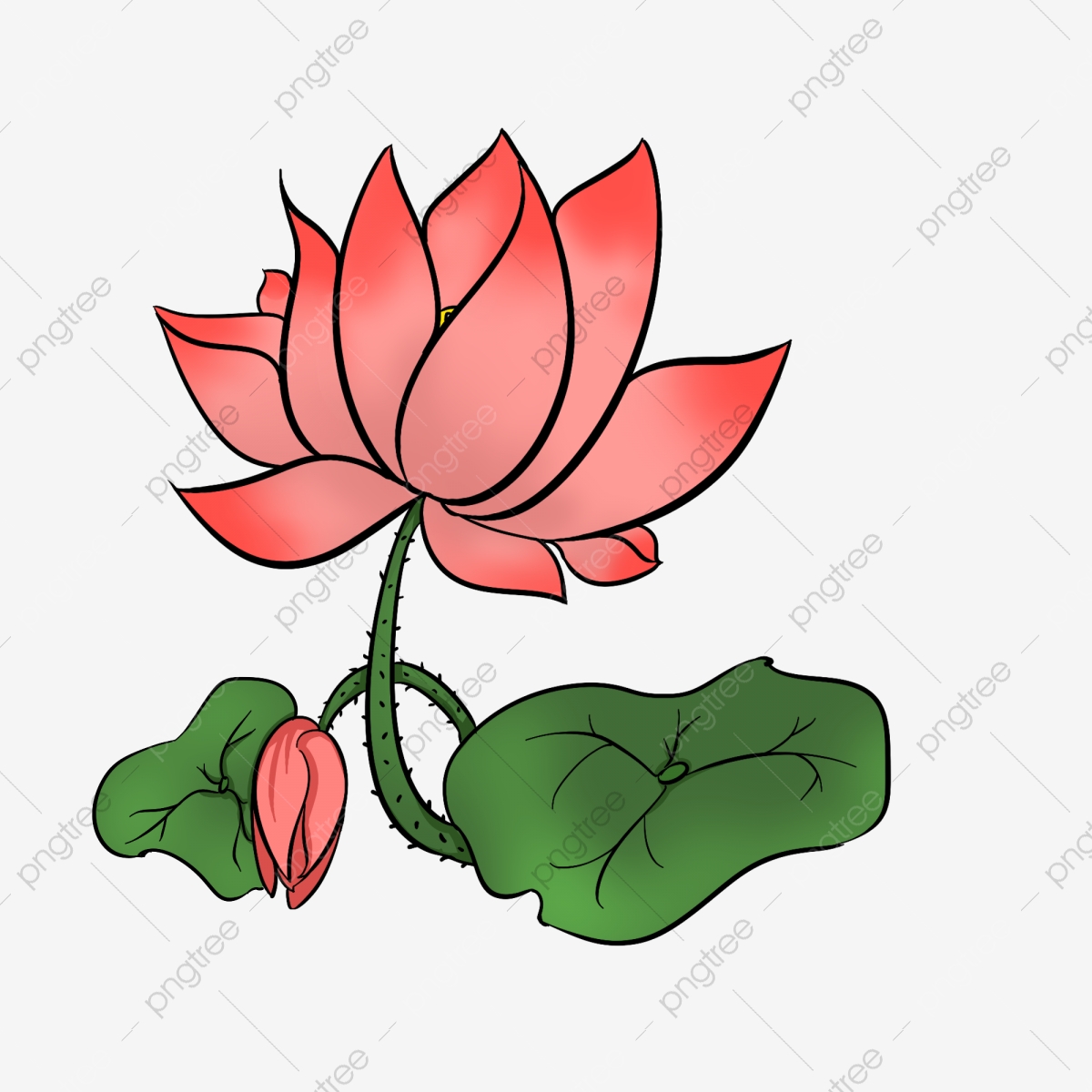 Lotus clipart beautiful, Lotus beautiful Transparent FREE for download ...