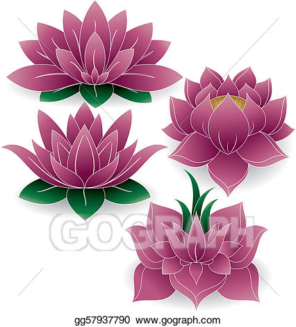 lotus clipart colored