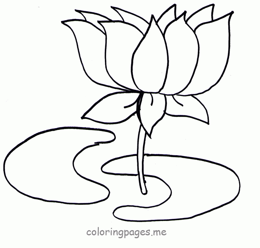 lotus clipart colouring page