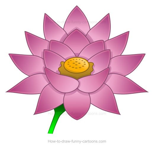 lotus clipart cute
