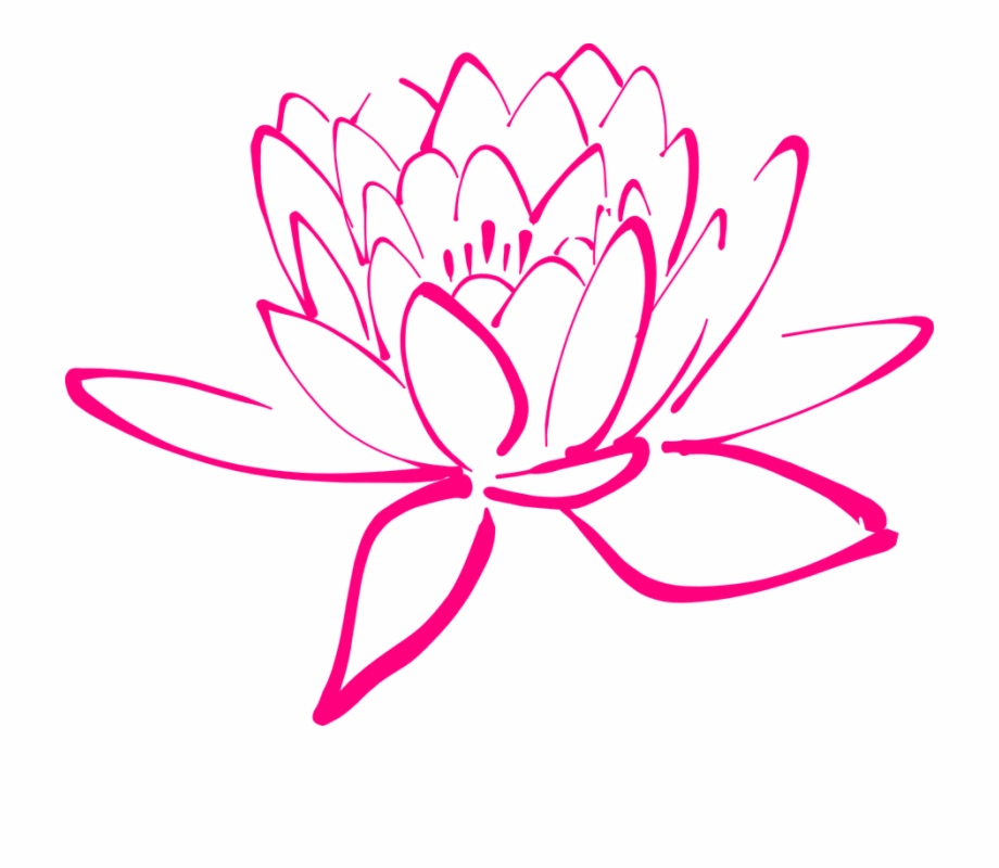 lotus clipart detailed flower