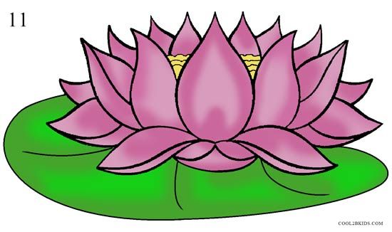 lotus clipart drawing