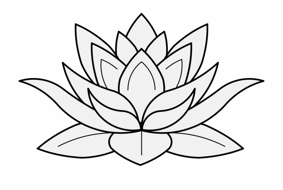Lotus clipart drawing. 