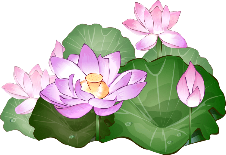 lotus clipart easy