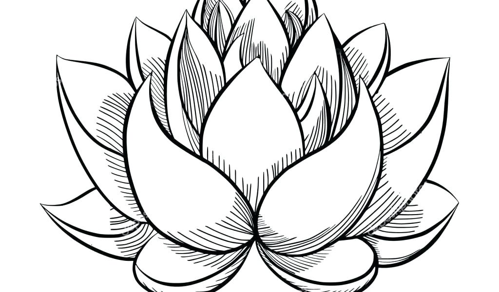 Lotus clipart easy draw, Lotus easy draw Transparent FREE for download