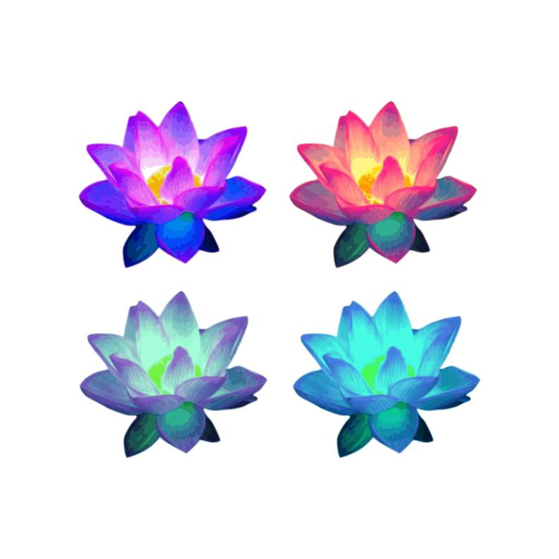 lotus clipart floral