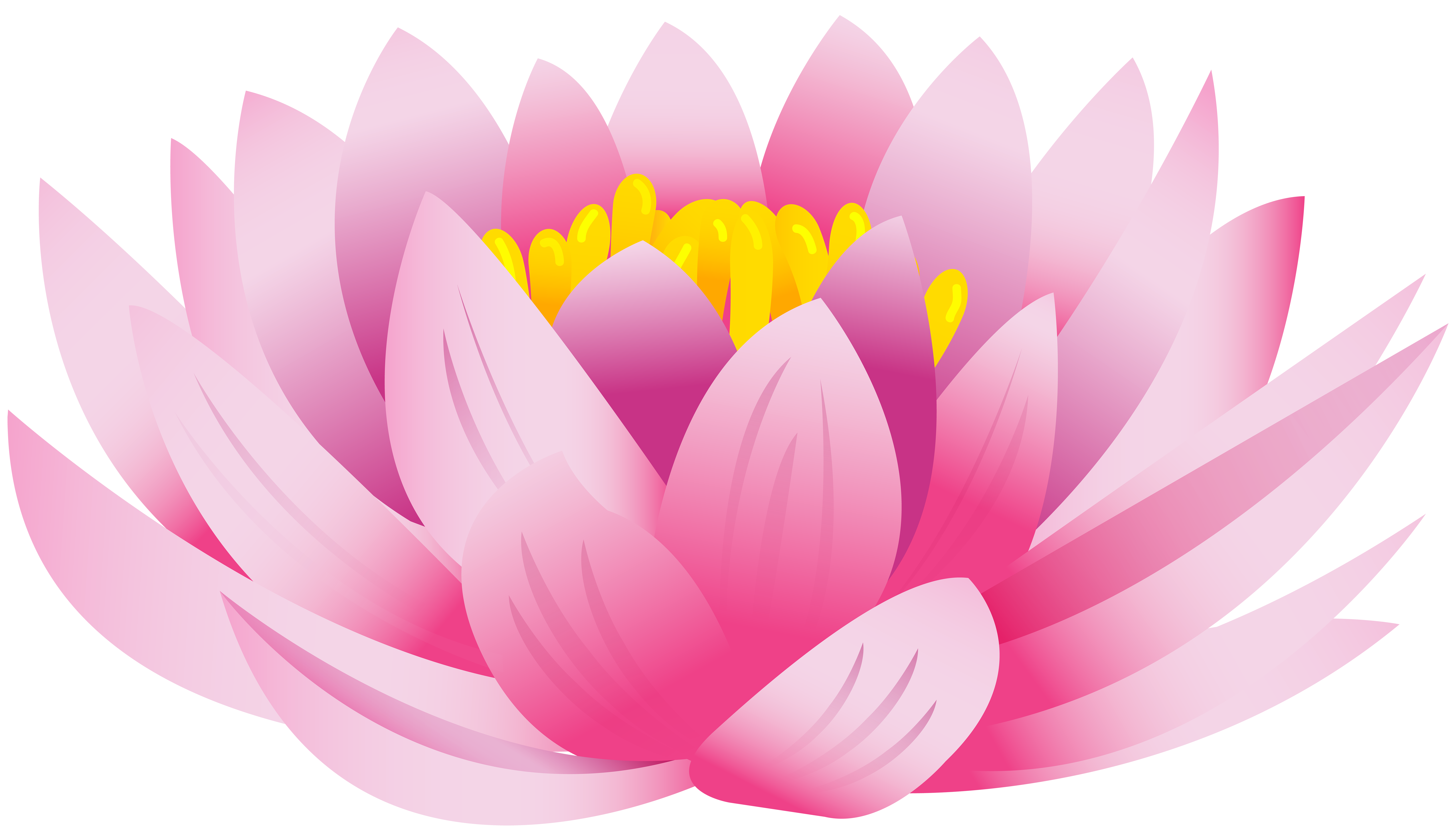 lotus-clipart-floral-lotus-floral-transparent-free-for-download-on