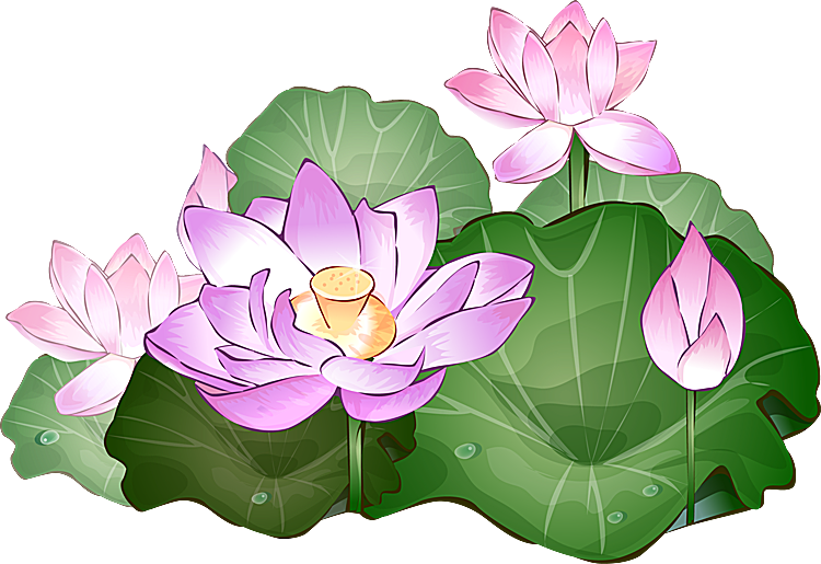 lotus clipart leaf clipart