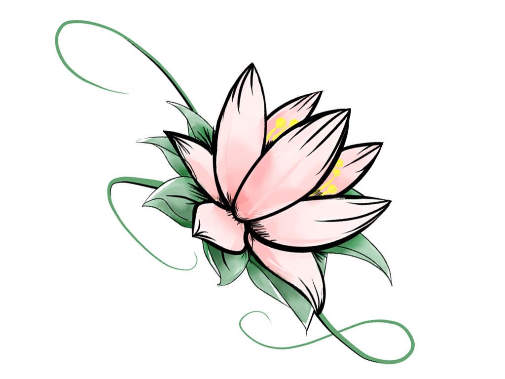 Lotus clipart lotus chinese. Flower drawing blossom at