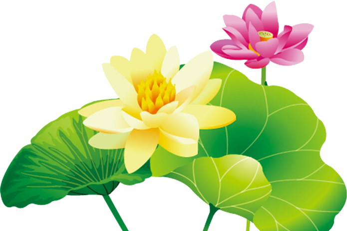 Lotus clipart lotus chinese. Inner mongolia ningxia nelumbo