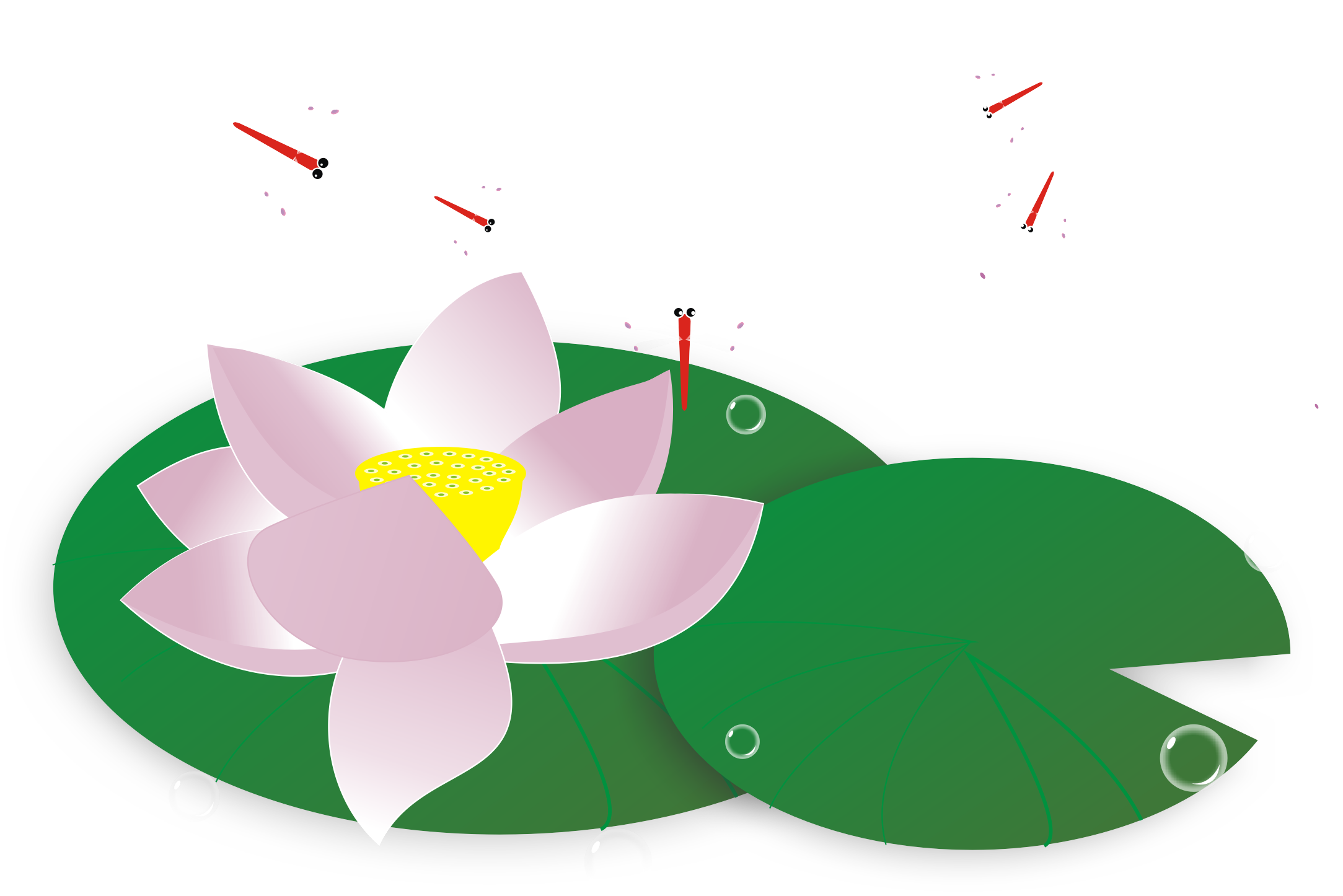 Nelumbo nucifera chinoiserie clip. Lotus clipart lotus chinese