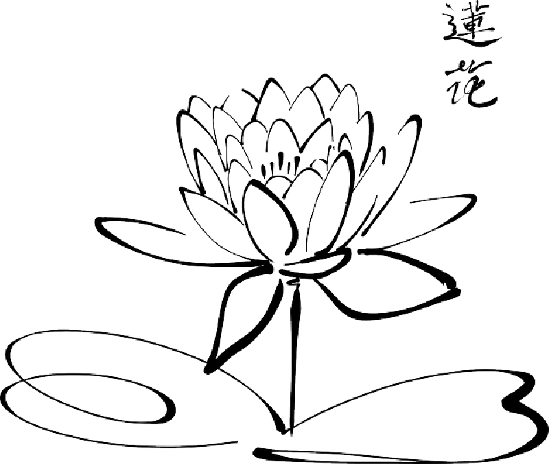 Lotus clipart national india flower. Drawing images at getdrawings