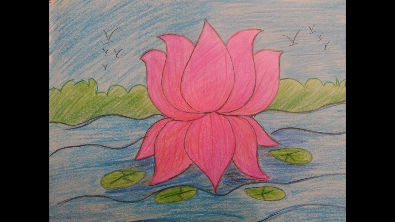 Lotus clipart national india flower. Of how to draw