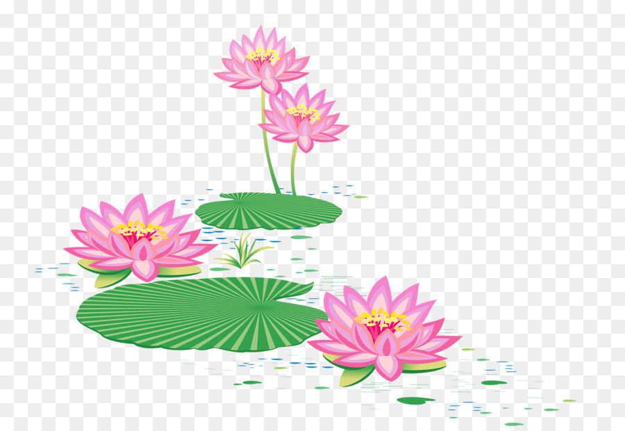 lotus clipart pond flower