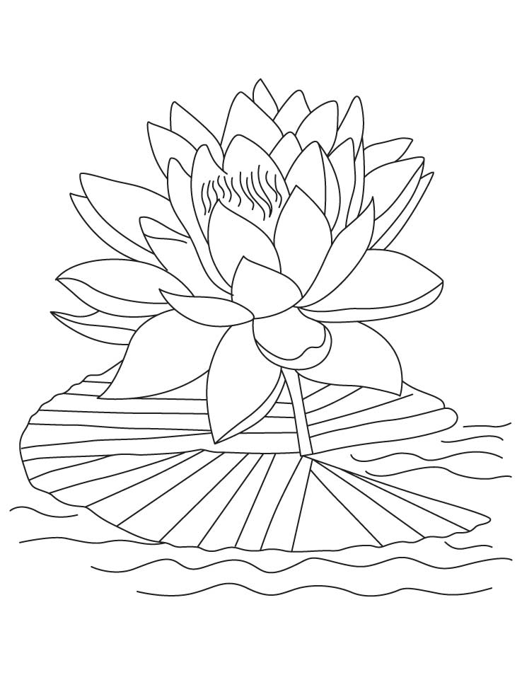 Free clip art library. Lotus clipart printable