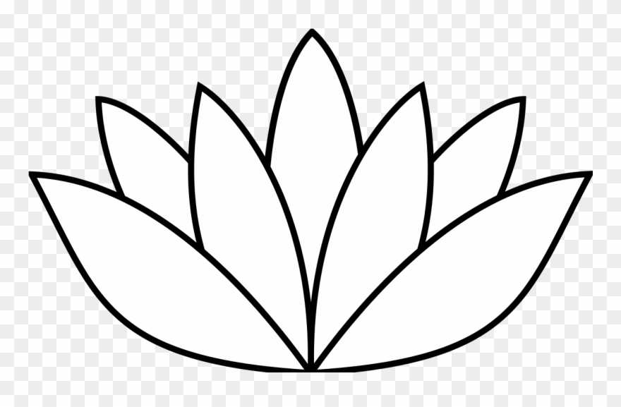 lotus clipart sketches