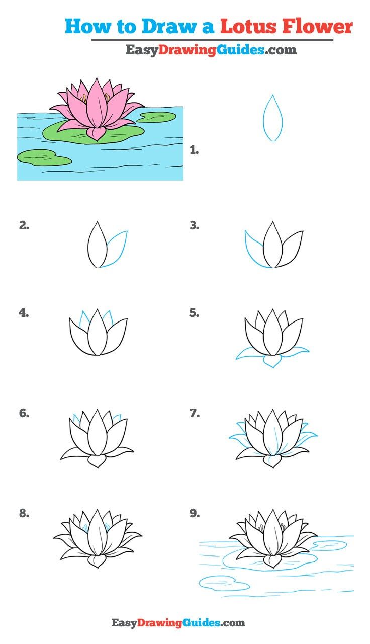 lotus clipart step by step