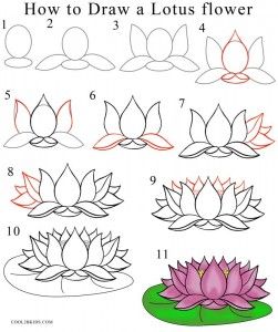 lotus clipart step by step