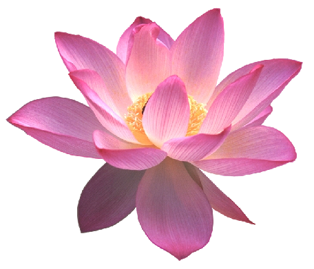 Lotus clipart transparent background. Gallery yopriceville high quality