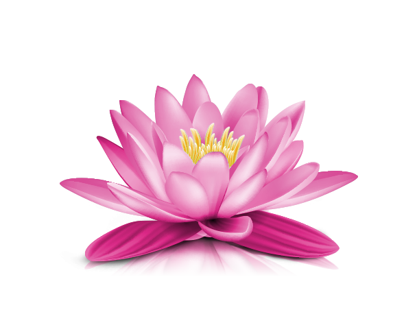 Lotus clipart transparent background. Image result for images