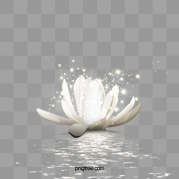 Flower png psd and. Lotus clipart vector black