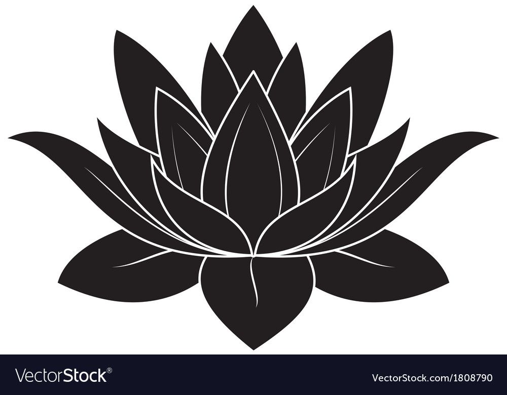 Lotus clipart vector black. Pin by carol kinneman