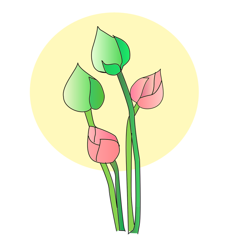 lotus clipart vesak