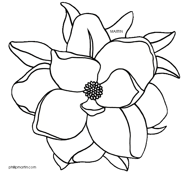 magnolia clipart single
