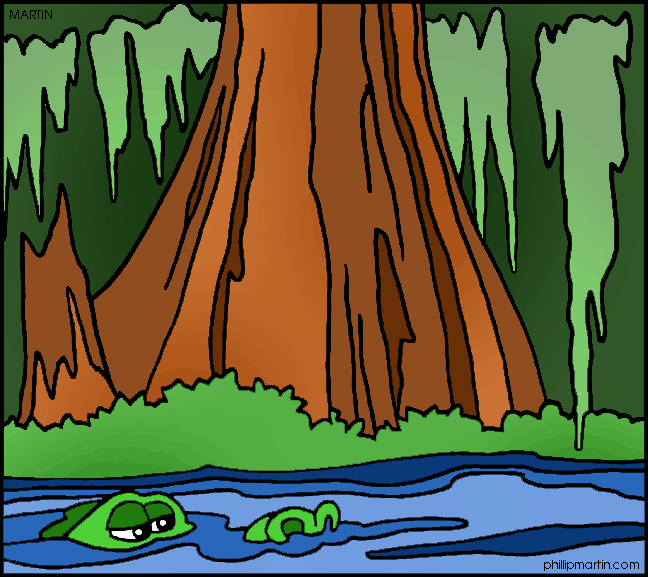 louisiana clipart cypress swamp