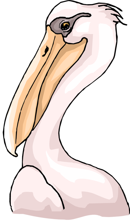 louisiana clipart pelican