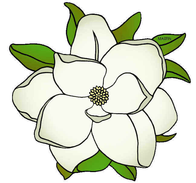 magnolia clipart state louisiana