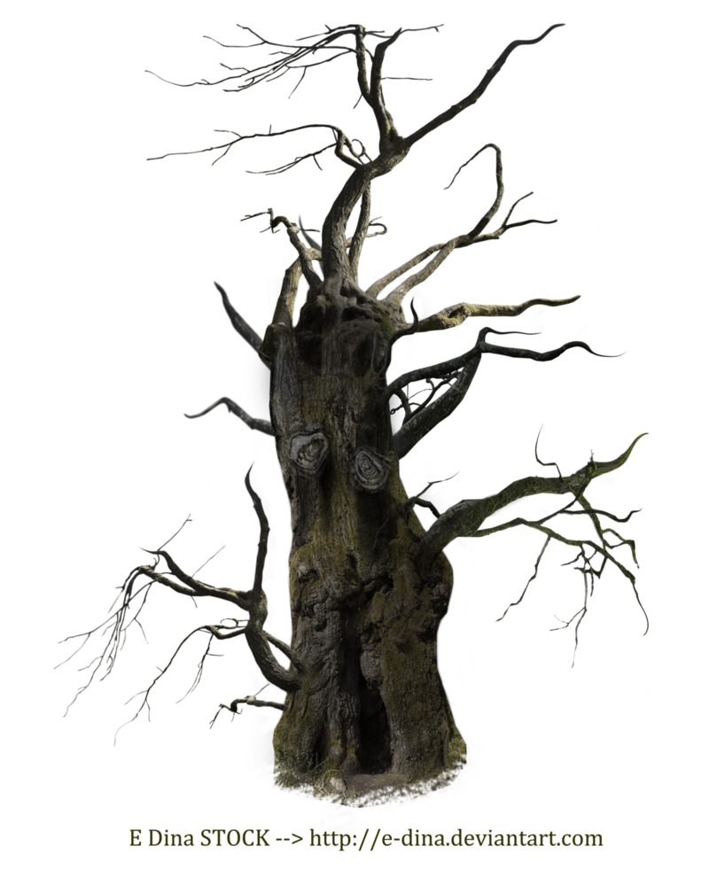 tree clipart haunted
