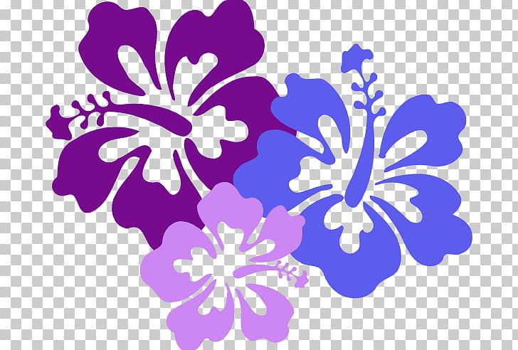 Hawaiian flower png brighamia. Luau clipart border line