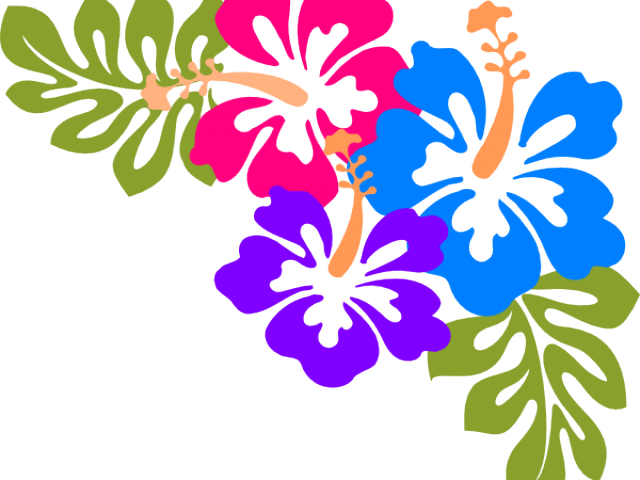 Luau clipart transparent. Cliparts free download clip