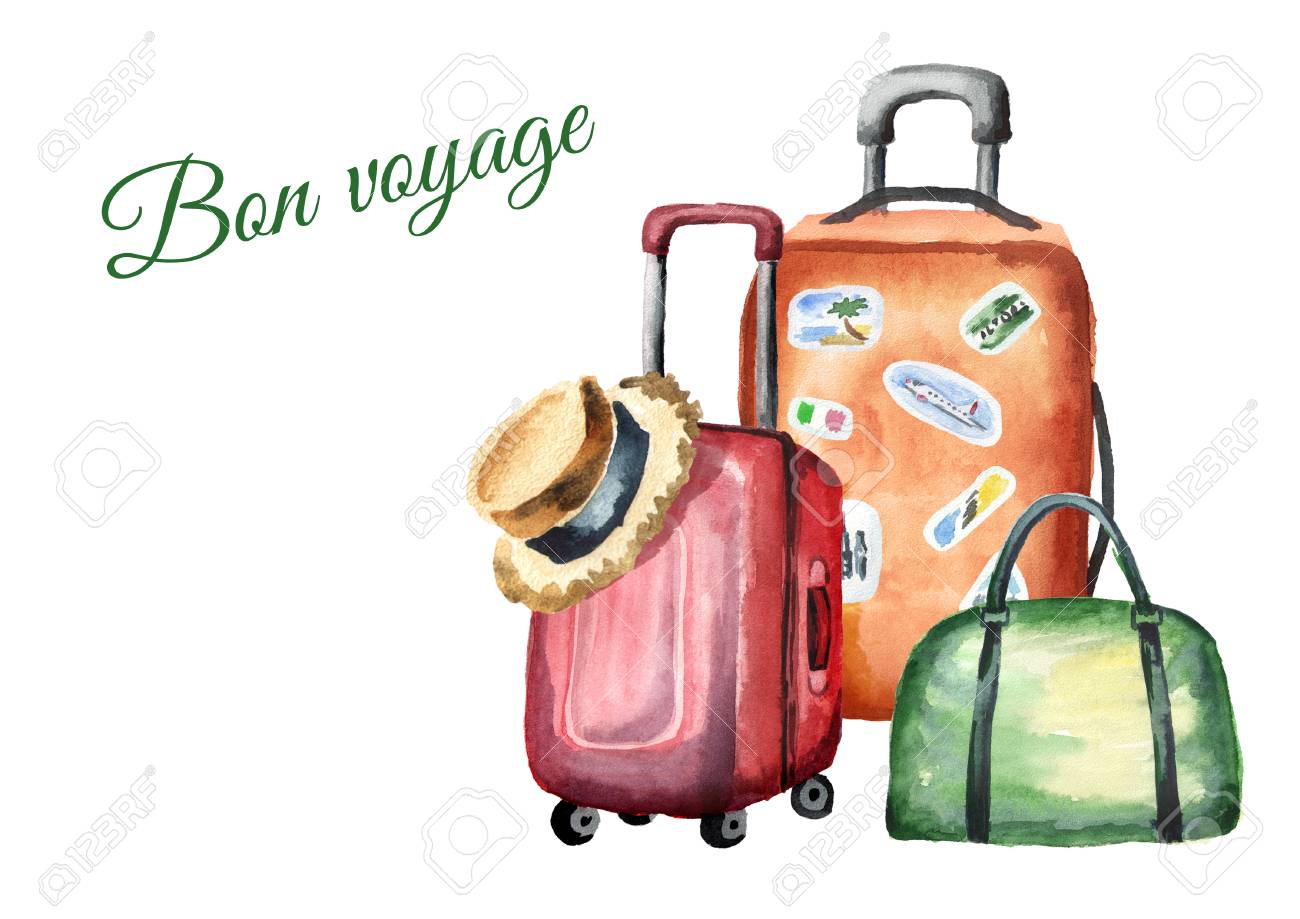 bon voyage luggage