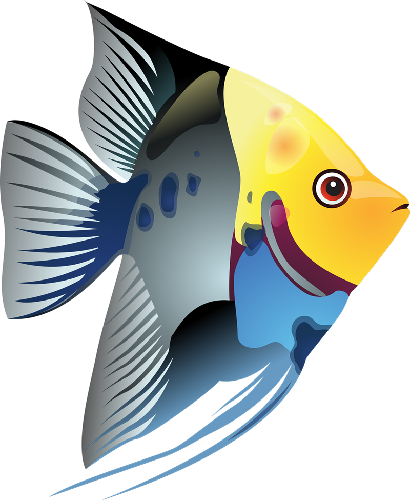 Tuna clipart animated. School of fish at