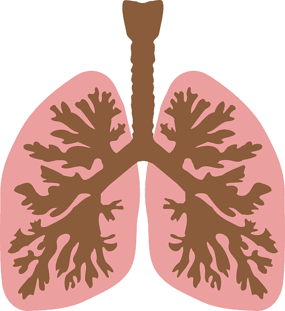 lungs clipart atelectasis