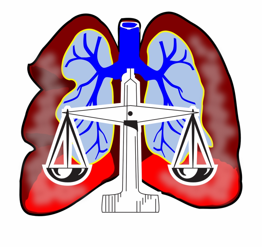 lungs clipart big