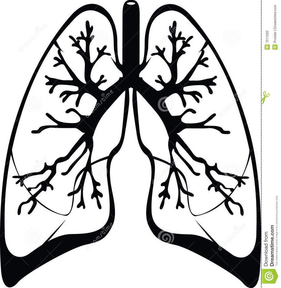 lungs clipart black and white