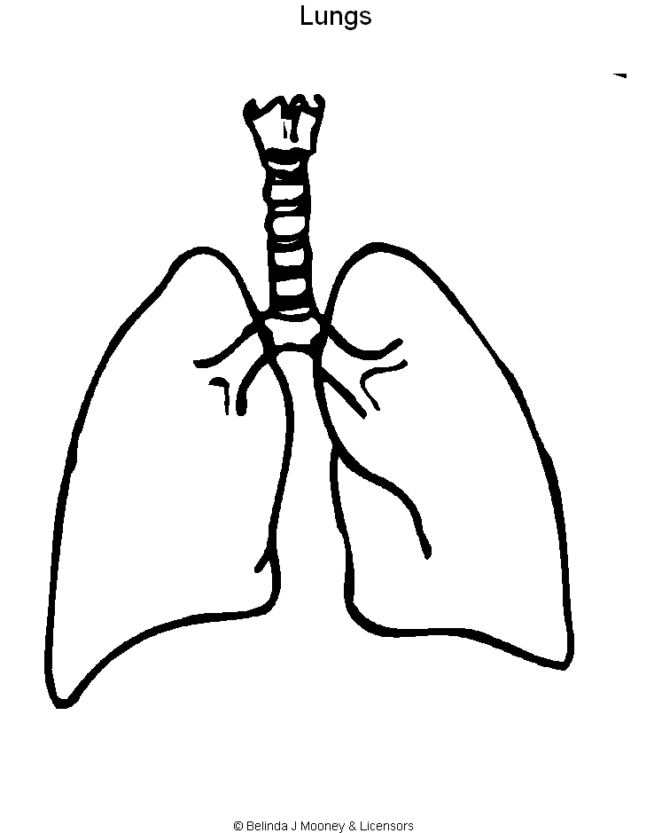 lungs clipart black and white