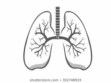 lungs clipart black and white