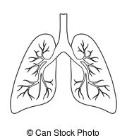 lungs clipart black and white